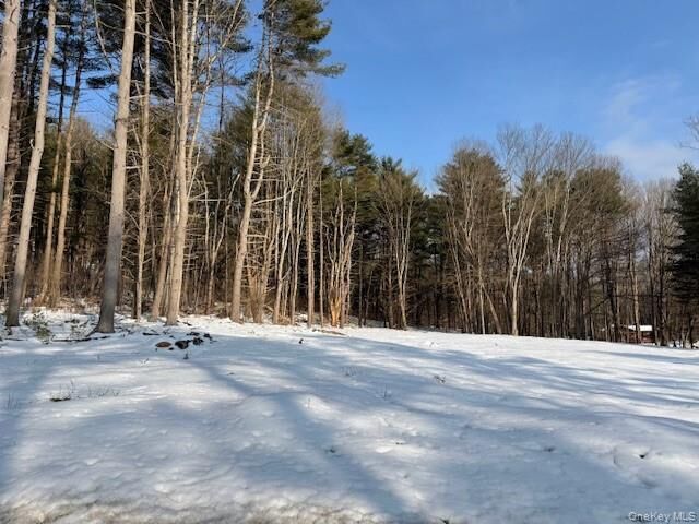 Property Photo: Lot 48.3 &Amp 48.2 High Road NY 12737