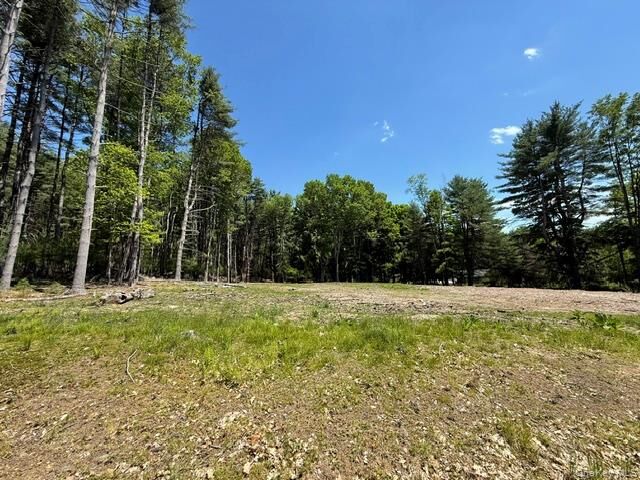 Property Photo:  Lot 48.3 &Amp 48.2 High Road  NY 12737 