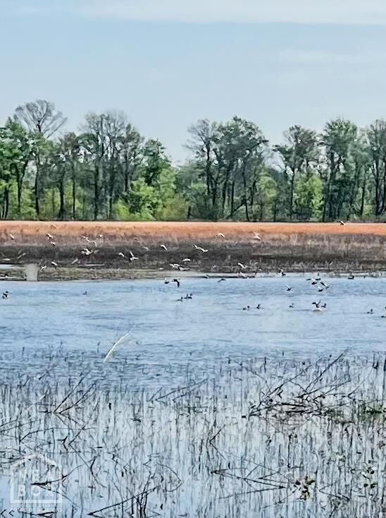 Property Photo:  1962 Upper Lockhart Rd.  AR 72524 