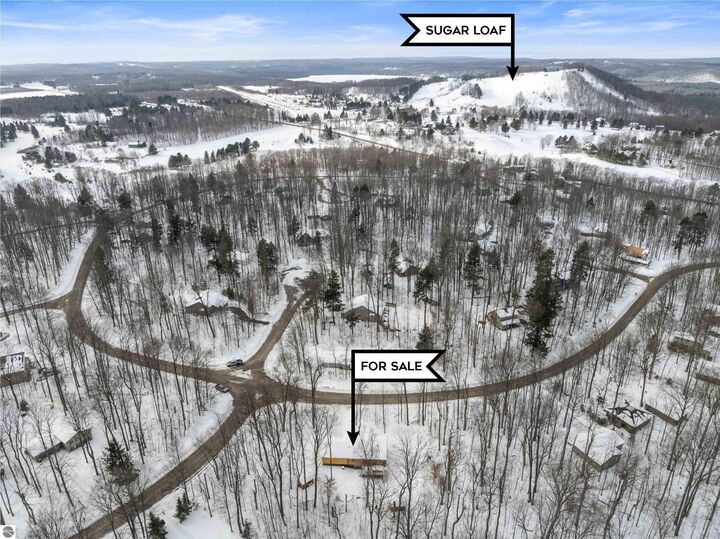 Property Photo:  2558 E Sugar Maple  MI 49621 