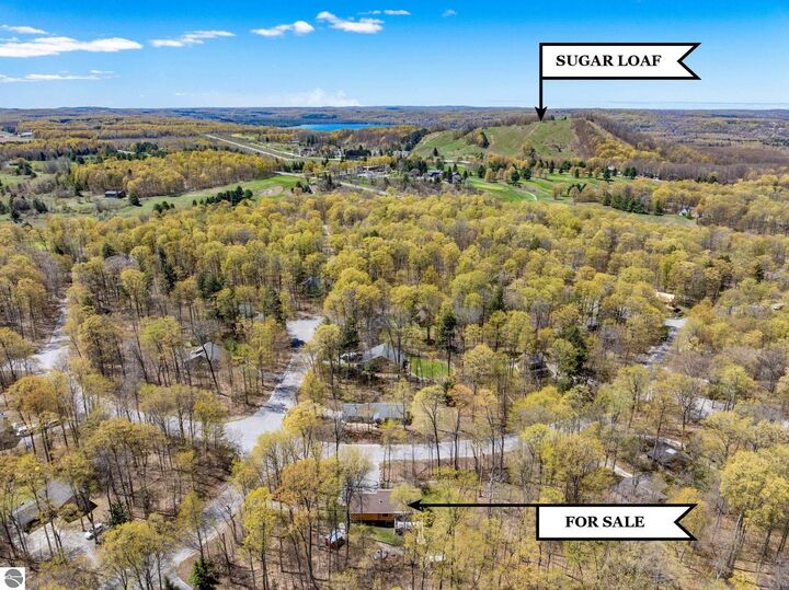 Property Photo:  2558 E Sugar Maple  MI 49621 