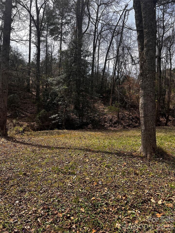 Property Photo:  0000 Cemetery Loop  NC 28601 