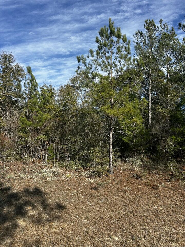 Property Photo:  Tbd Valiant Drive  FL 32428 