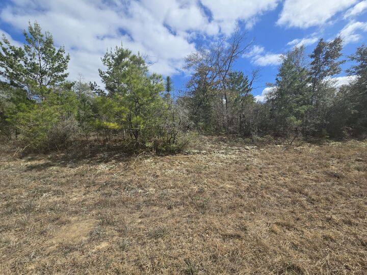 Property Photo:  Tbd Cranston Court  FL 32428 