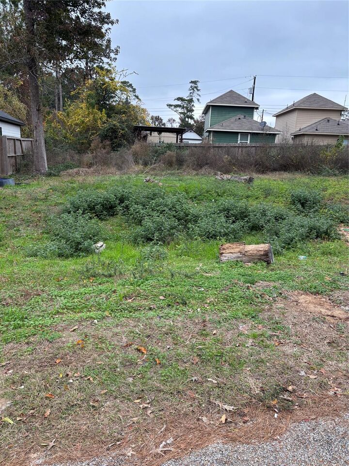 Property Photo:  16716 E Ivanhoe  TX 77316 