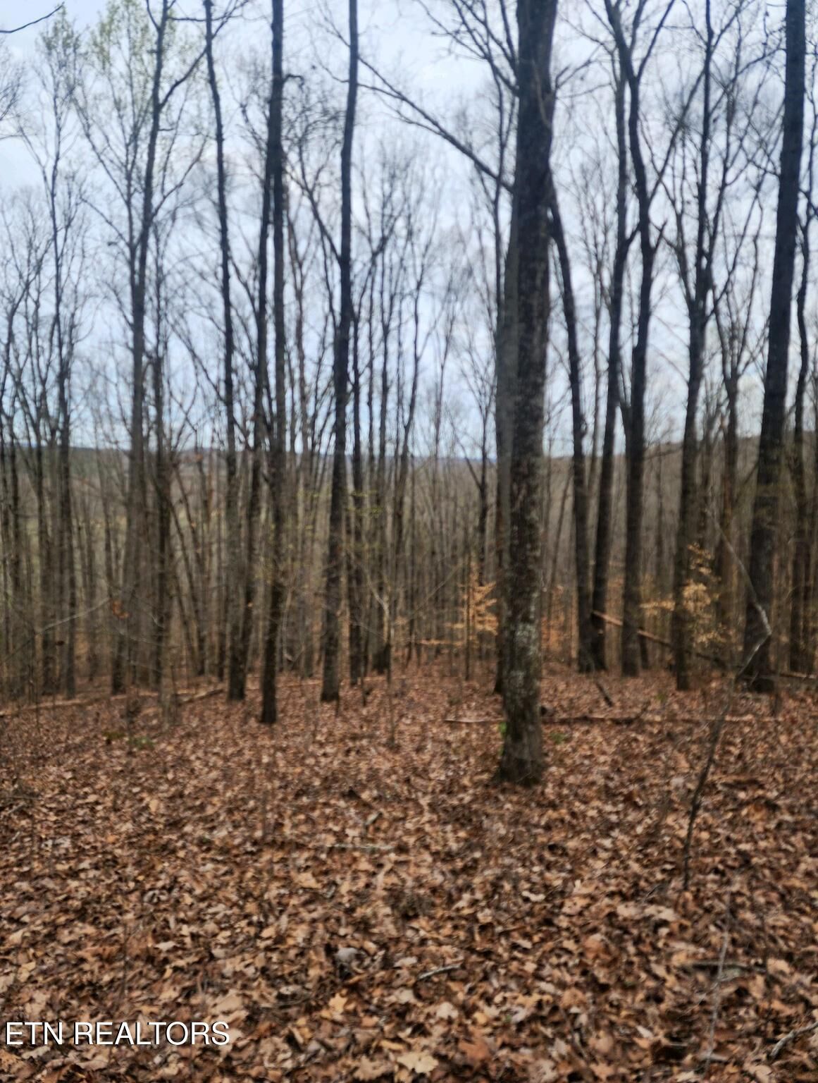 Property Photo:  Upper Concord Rd  TN 37880 