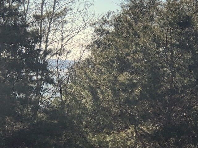 Property Photo:  0 Turtle Point Lane  TN 37185 