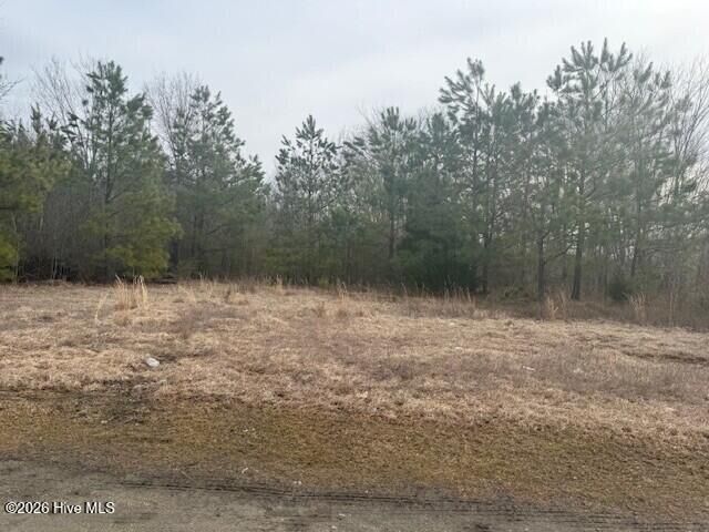 Property Photo: Tbd Carter Street NC 27897