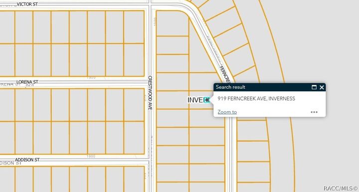 Property Photo:  919 Ferncreek Avenue  FL 34453 