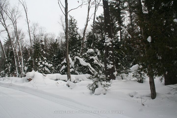 Property Photo:  0 Pt Lt 29 Con 10 N/A  ON P1H 2J3 