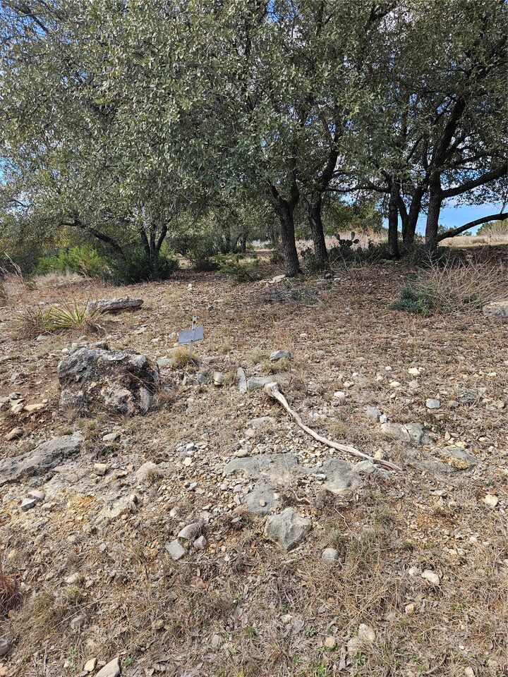 Property Photo:  2912 Davis Cove  TX 78645 