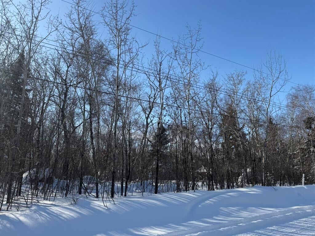 Property Photo:  87 Lakeview Drive  MB R0R 0E0 