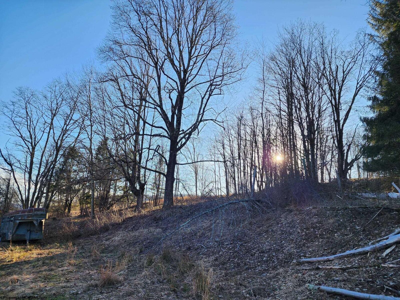 Property Photo:  169 Wilma Lee Memorial Drive  WV 26254 