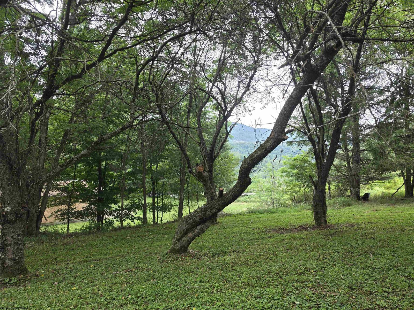 Property Photo: 169 Wilma Lee Memorial Drive WV 26254
