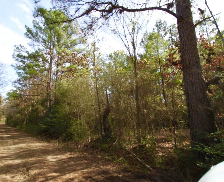 Property Photo:  R 122777 Jape Massingill Lane  TX 75941 