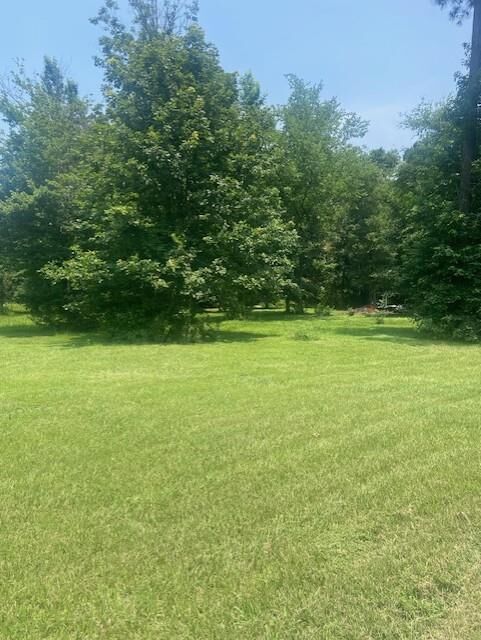 Property Photo:  203 Cr 557  TX 75961 