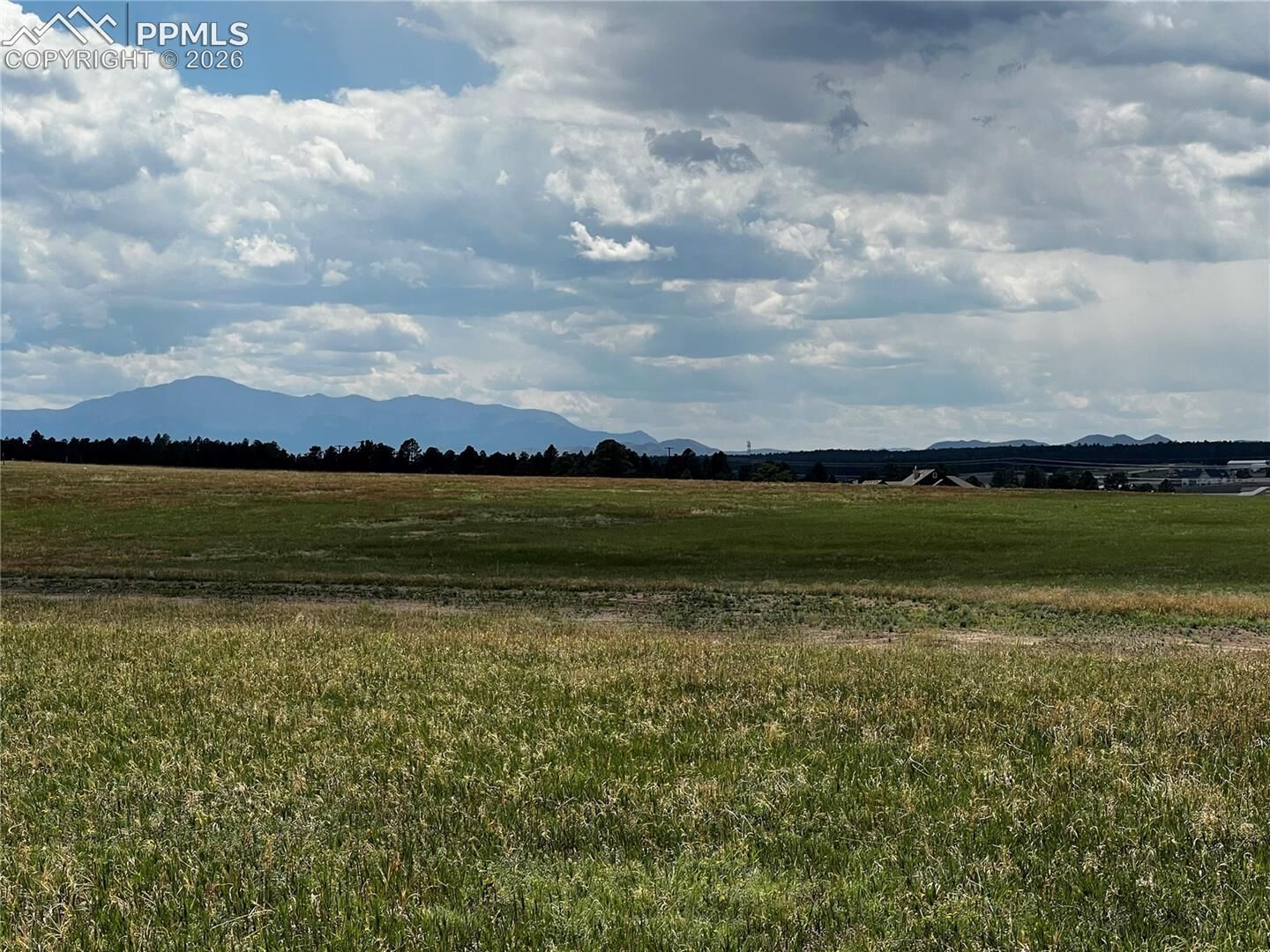 Property Photo:  16990 Early Light Drive  CO 80908 