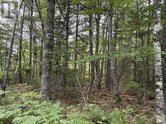 Lot 1-A Country Road, Lakeland Retreats — photo 1