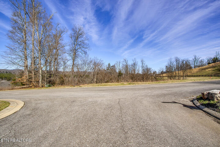 Property Photo:  132 & 134 Black Oak Drive  TN 37830 