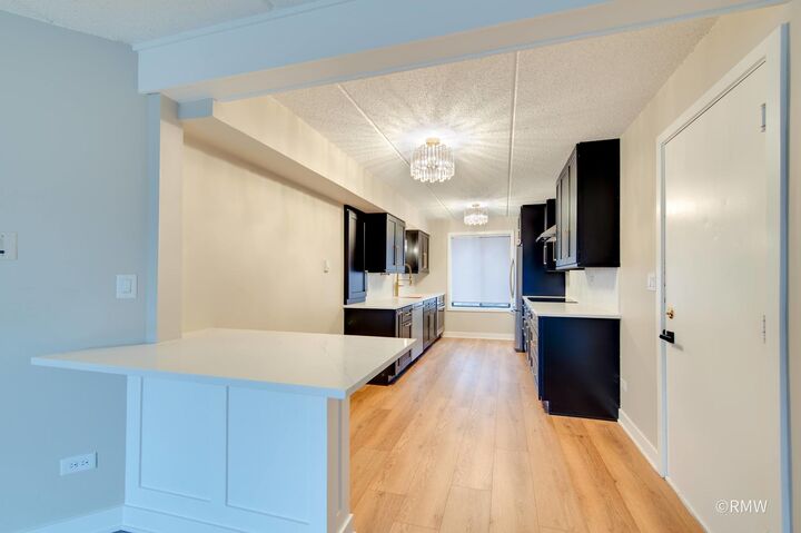 Property Photo:  724 N Briar Hill Lane 3  IL 60101 