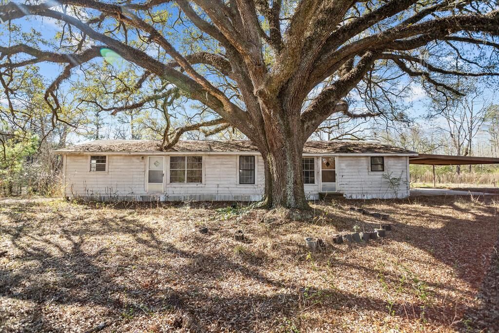 Property Photo: 588 Linvell Grimes Rd TX 75941