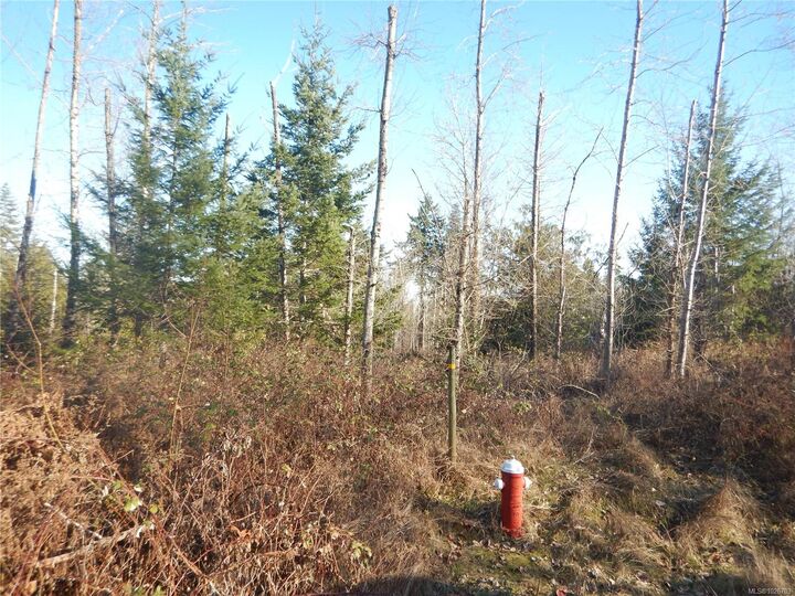 Property Photo: Lot 2 Artela Dr BC V0R 1W0