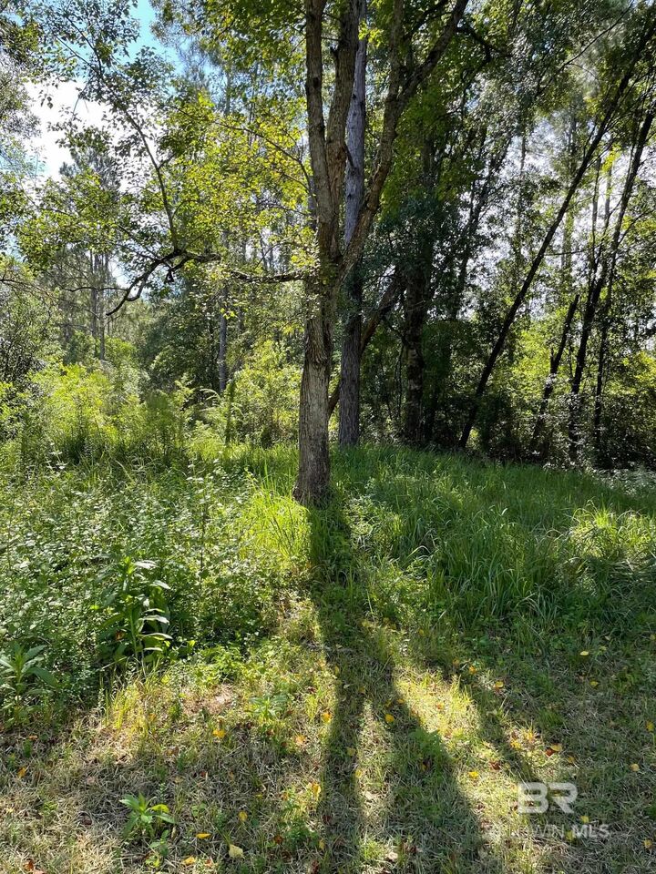 Property Photo:  20150 County Road 87  AL 36567 