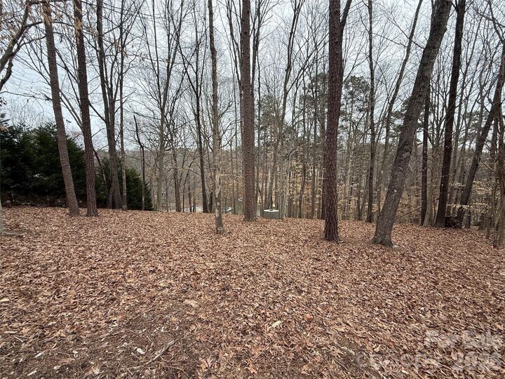 Property Photo:  163 High Lake Drive  NC 28677 