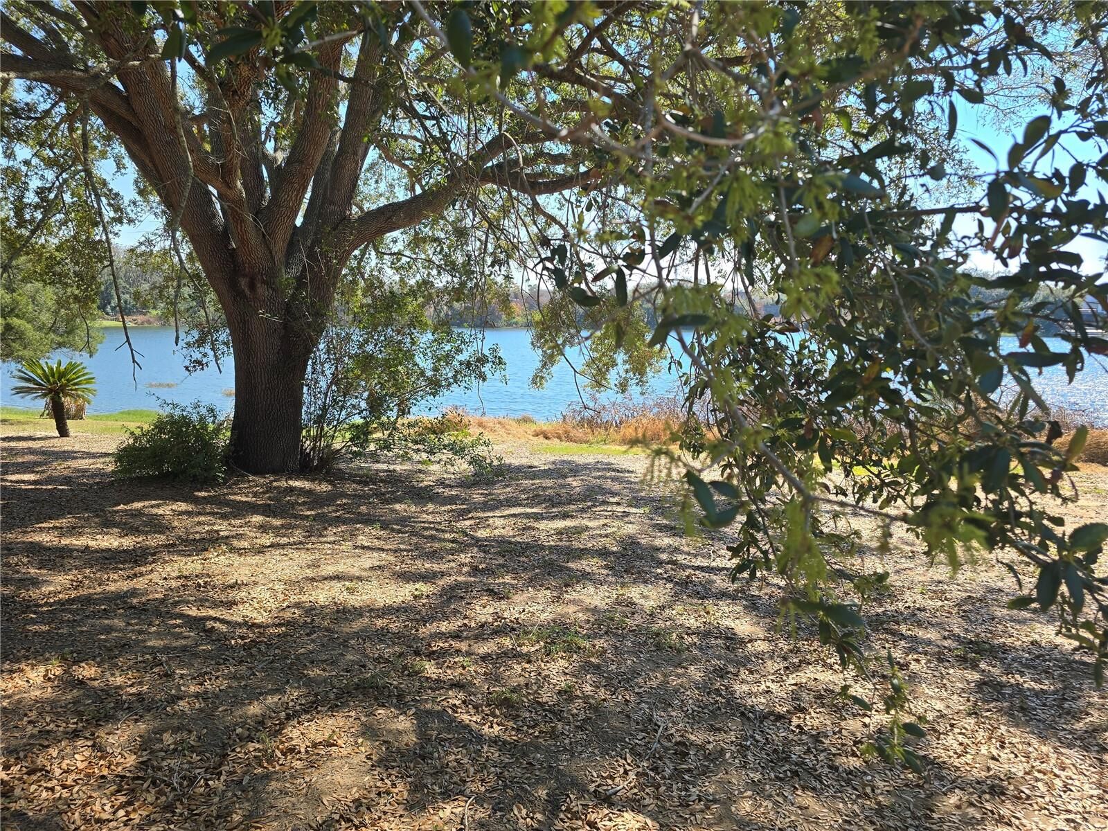 Property Photo:  Westmoreland Avenue  FL 32726 