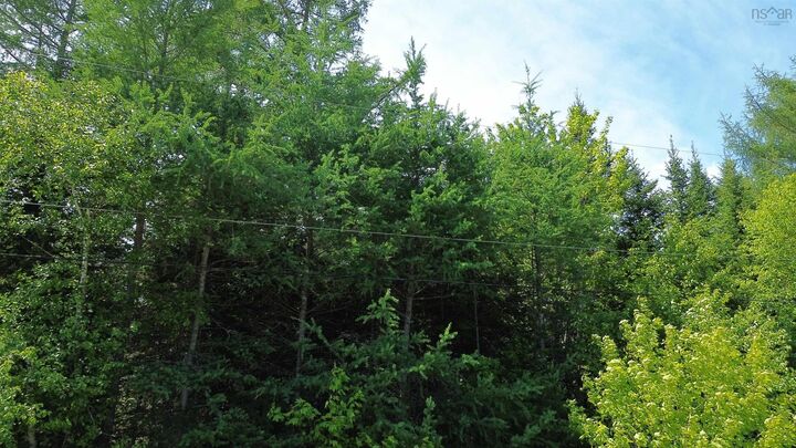 Lot 28 No 4 Highway — photo 1