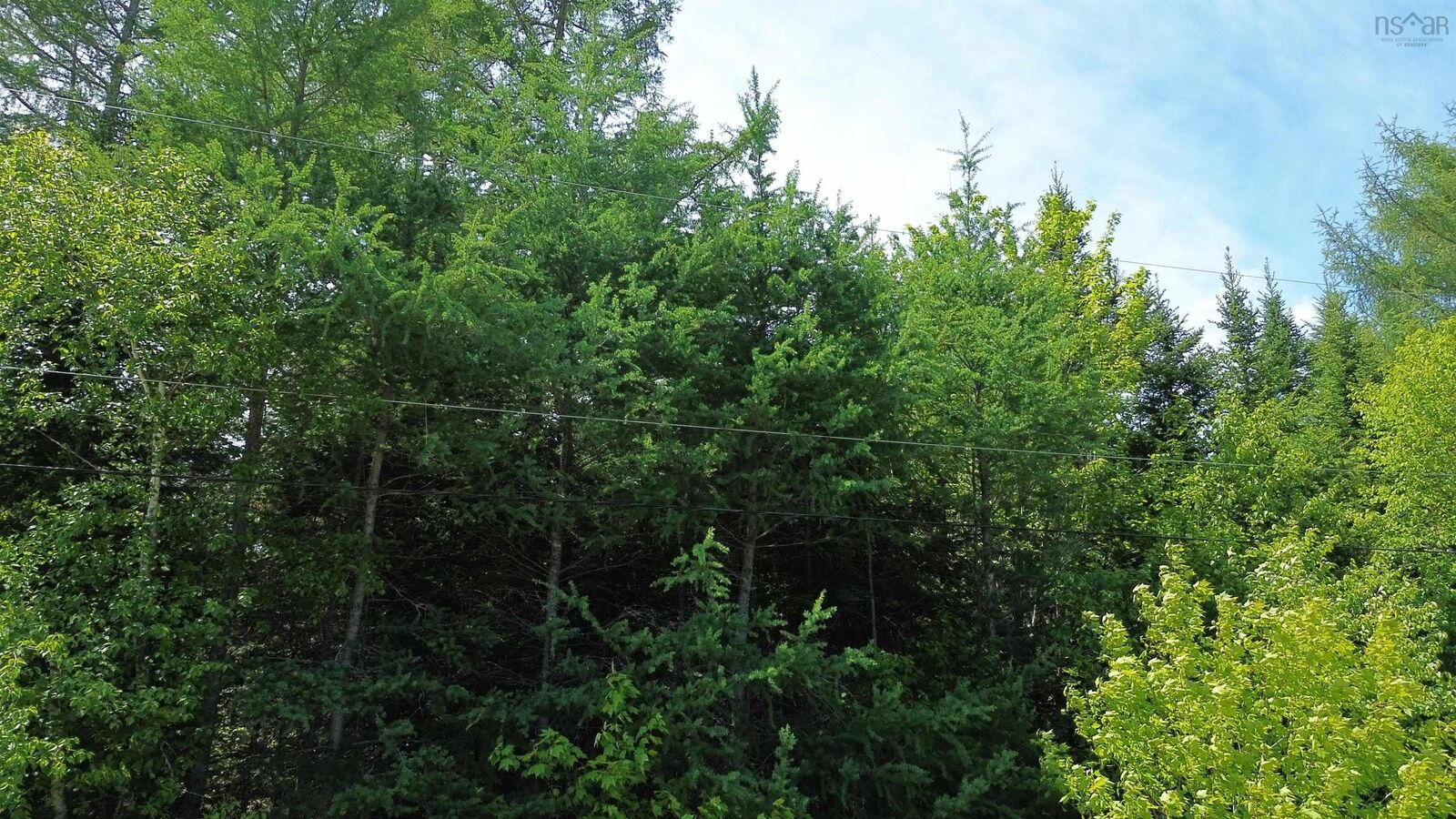 Property Photo:  Lot 28 No 4 Highway  NS B0E 1J0 