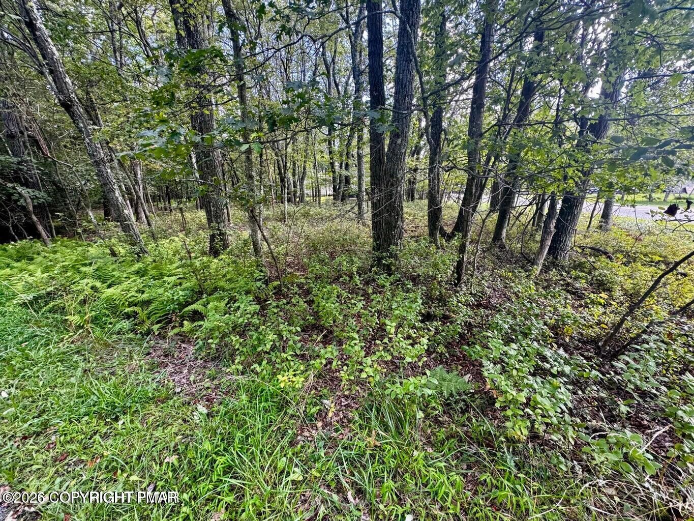 Property Photo: Lot # 14ht Bear Lane PA 18229