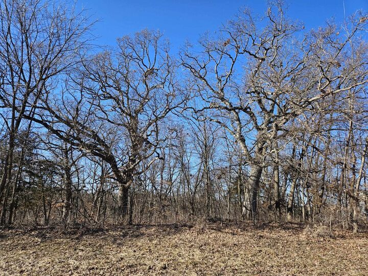 Property Photo: 4722 W Longhollow Road IL 61036