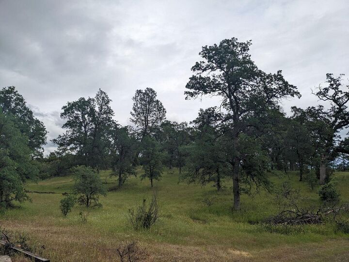 Property Photo:  Wistful Vista Lane  CA 96003 