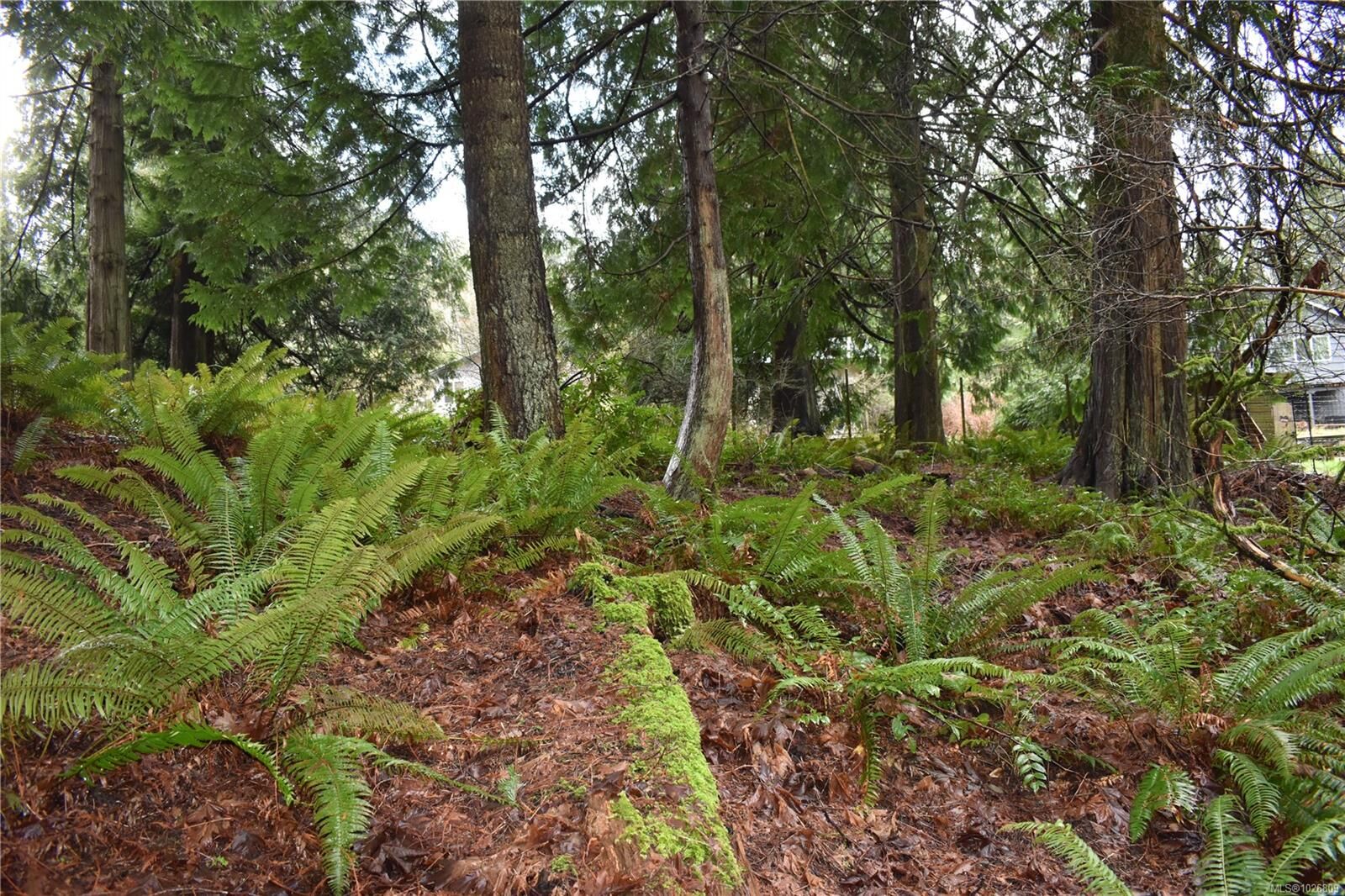 Property Photo:  201 Grantville St  BC V8K 1P1 