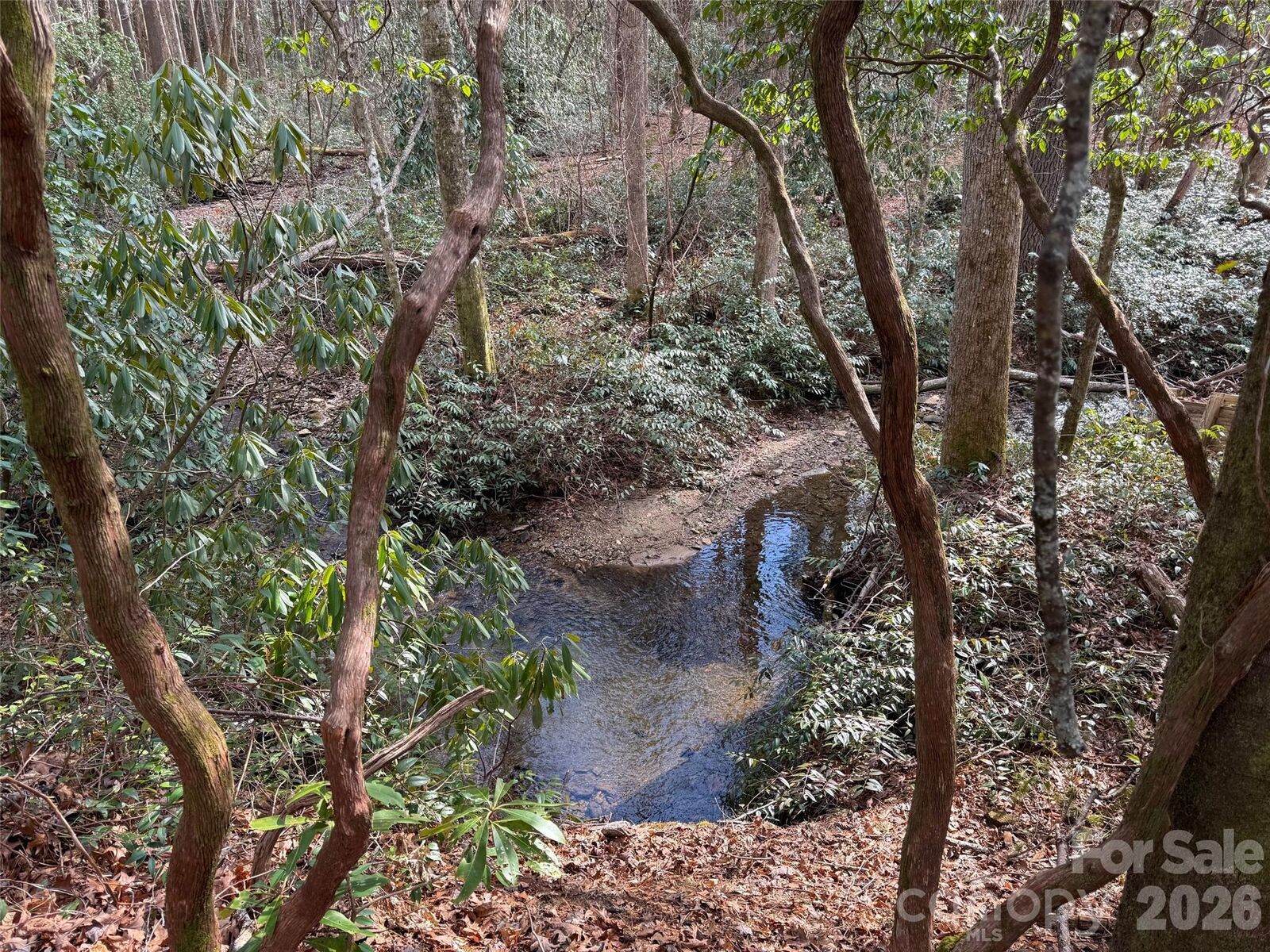 Property Photo: Tbd Cherrywood Lane L-12 NC 28768