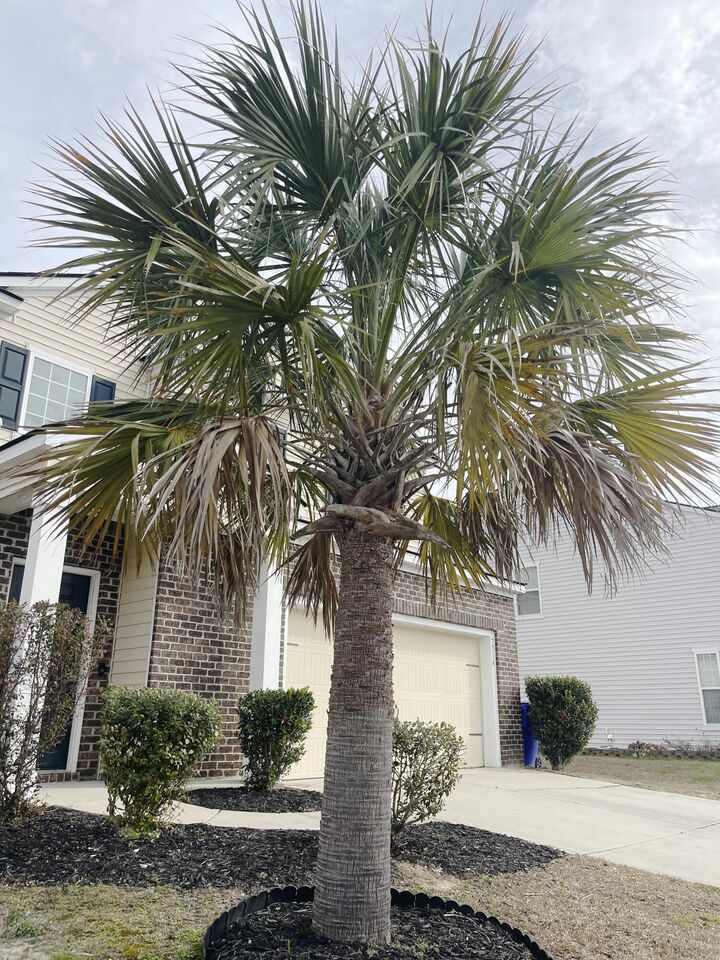 Property Photo:  7714 High Maple Circle  SC 29418 