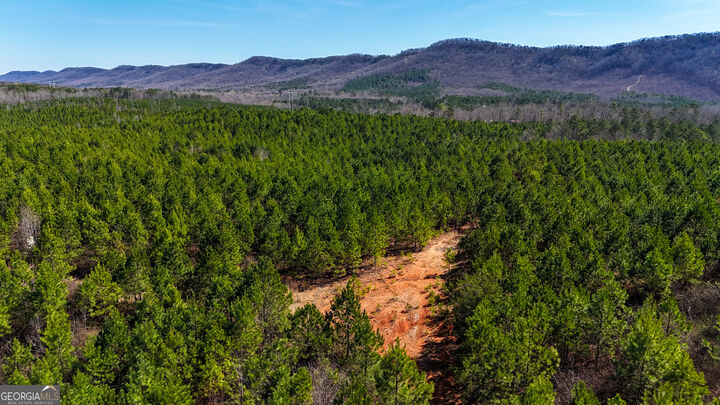 Property Photo: 0 Highway 100 GA 30747