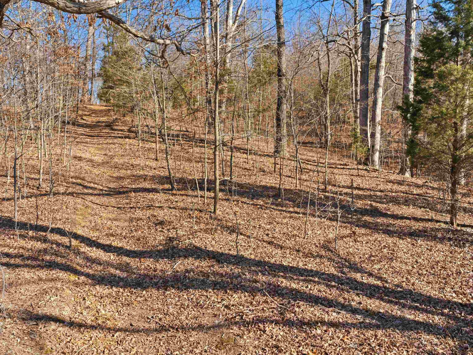Property Photo:  6346 Little Hickory Road  KY 42366 