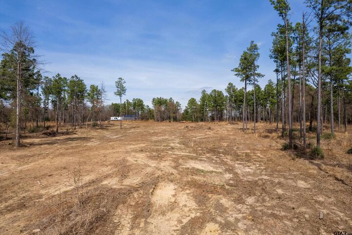 Property Photo: 130 SE County Road 4415 TX 75480