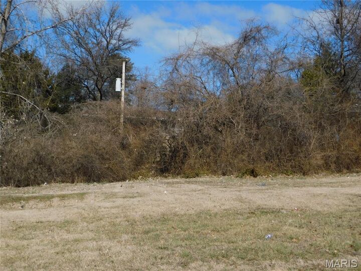 Property Photo:  3171 Somerset Green Court  MO 63136 