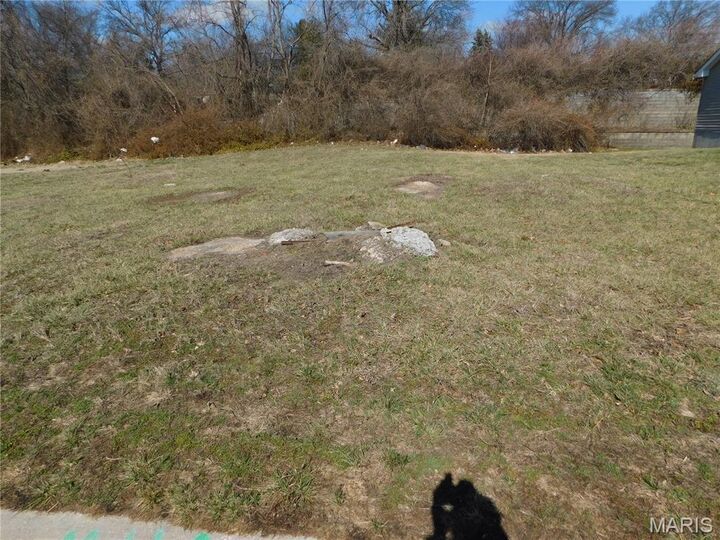 Property Photo: 3145 Somerset Green Court MO 63136