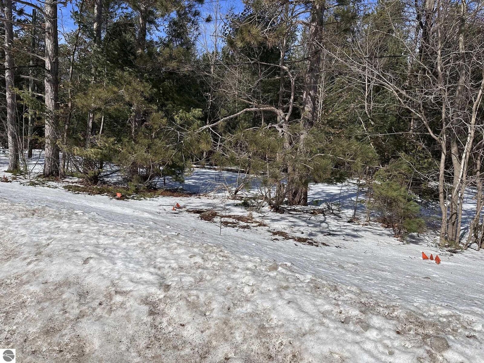 Property Photo:  Honor Highway  MI 49643 