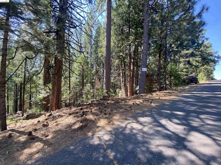 Property Photo: 155 Alpine CA 95335