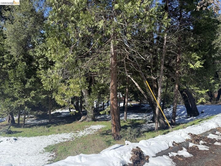 Property Photo:  21730 Wasatch Mountain Rd  CA 95370 