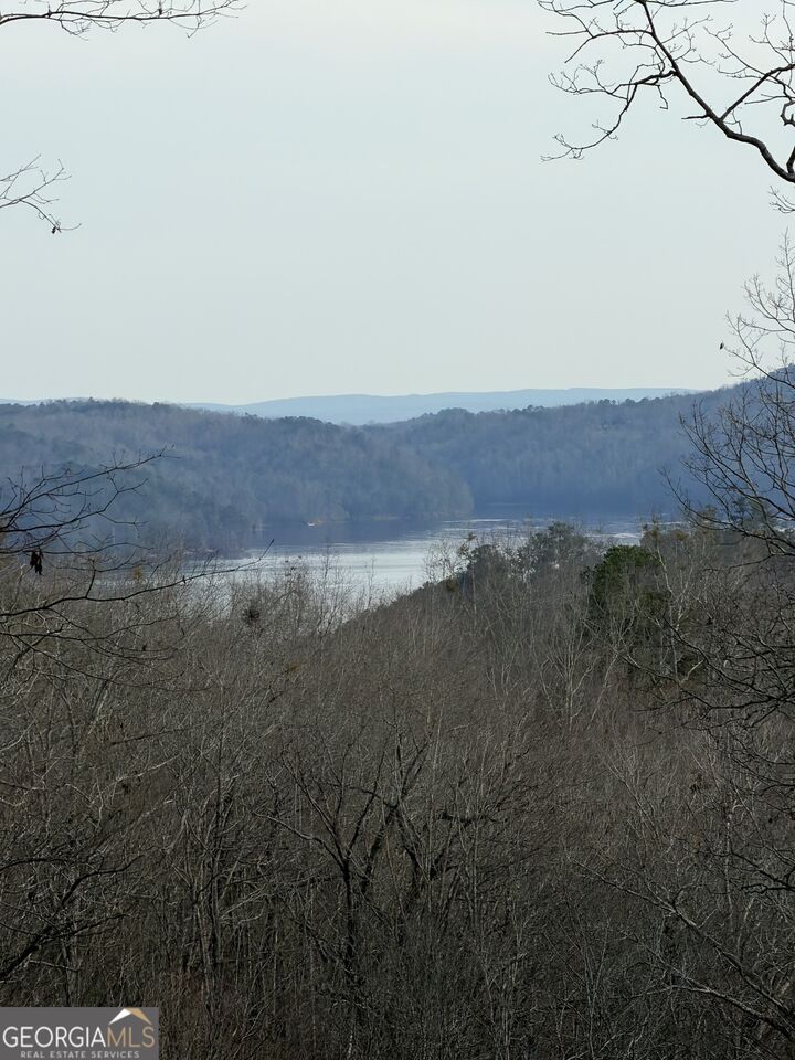 Property Photo:  439 Buck Creek Road  GA 30540 