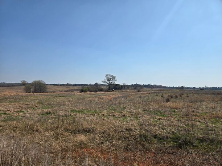 Property Photo:  R0039694 Northview  TX 75835 