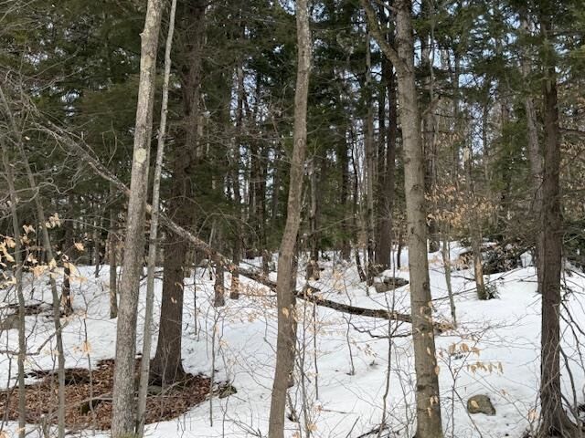 Property Photo: Map 6 Lot 103 Route 16 NH 03818