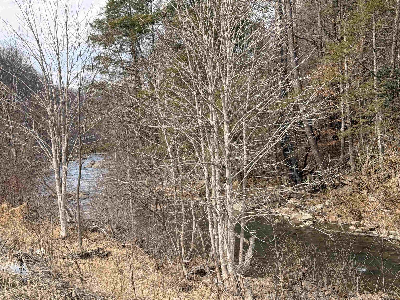 Property Photo:  Tbd  Cleburne Rd Road  VA 24084 