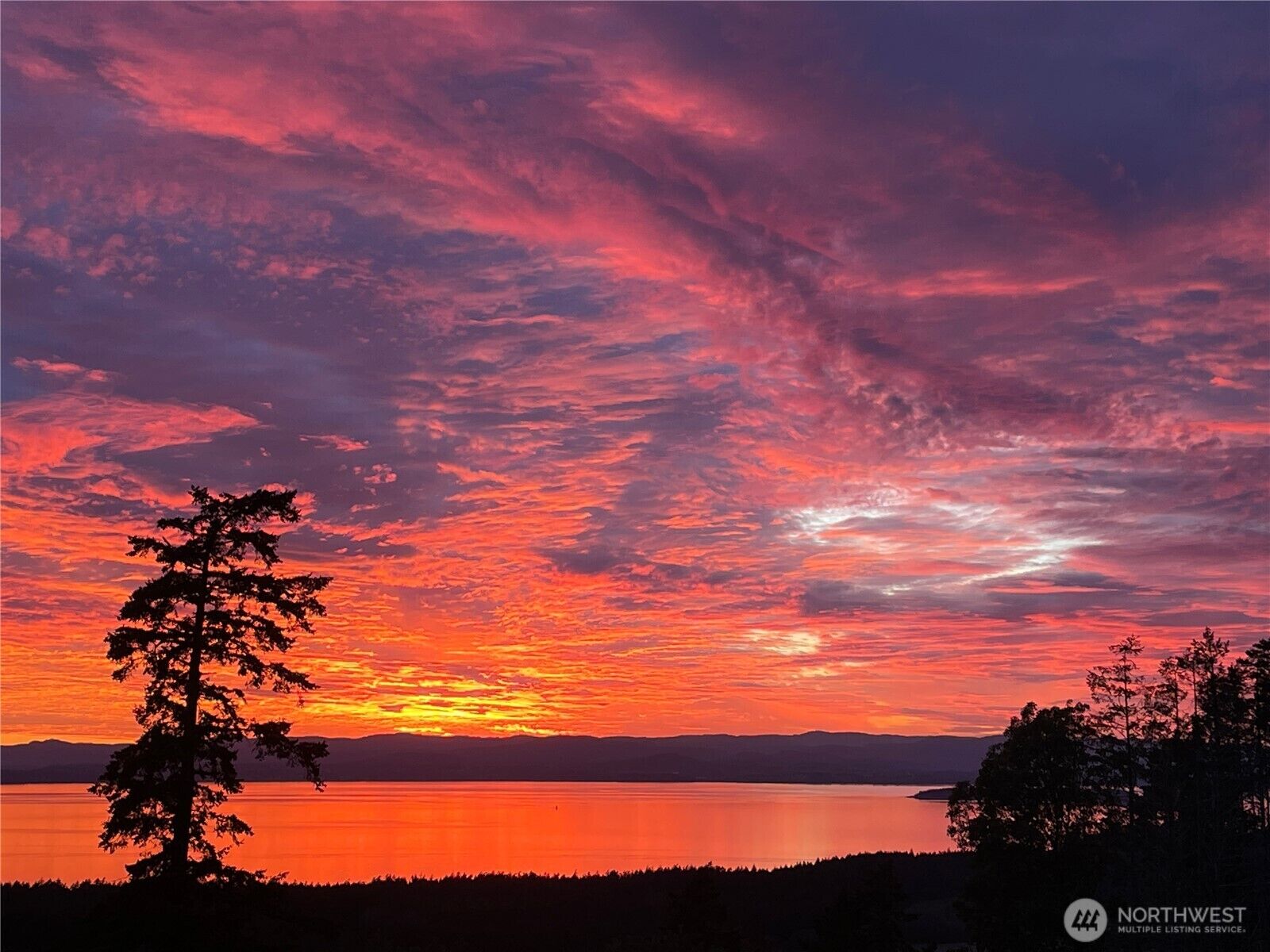 Property Photo:  185  Lucky Way  WA 98250 